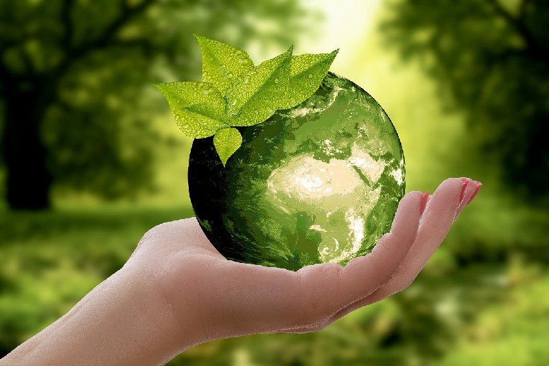 Jak być zero waste?