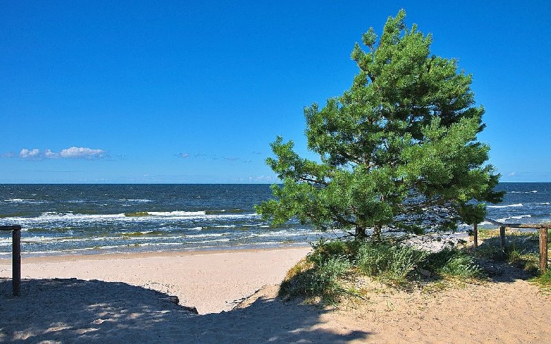 Najciekawsze atrakcje, jakie znajdziesz nad Bałtykiem
