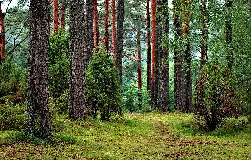 Polskie regiony turystyczne